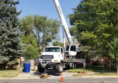 Tree Removal by Crane