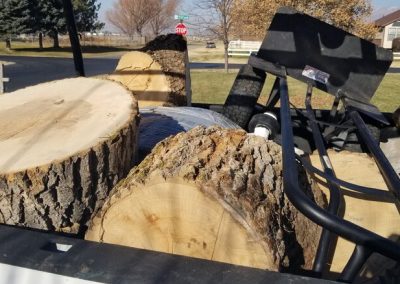 Tree Removal Cleanup