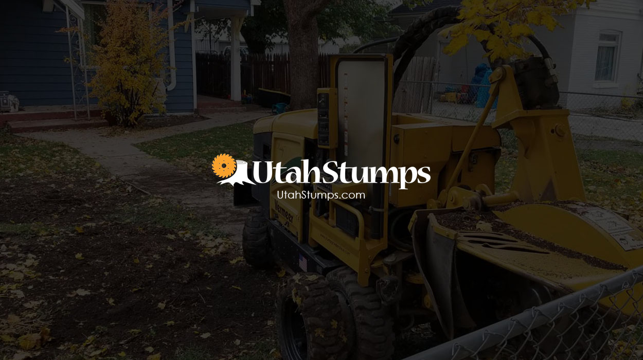 Best Tree Stump Removal Service in Utah - Licensed & Insured